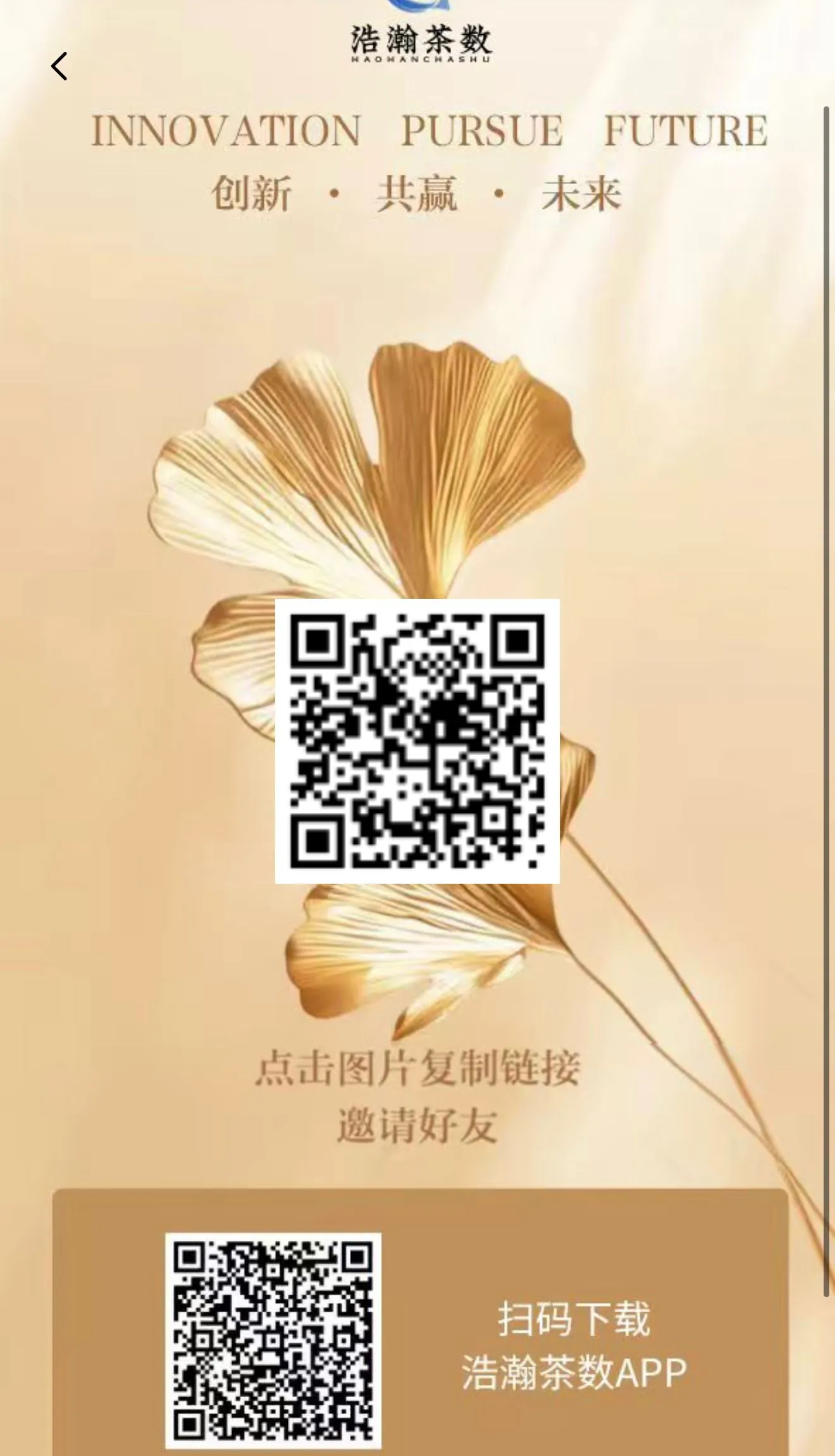 茶树0撸